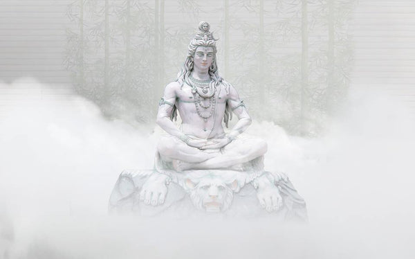 Passez une belle nuit de MAHASHIVARATRI!