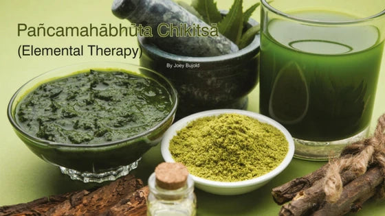 Pañcamahābhūta Chikitsā (Elemental Therapy)